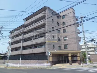 SERENO HARAの画像