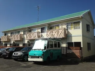 エバーグリーンの画像