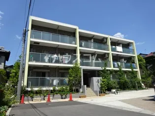 MAGNOLIA COUTIIの画像