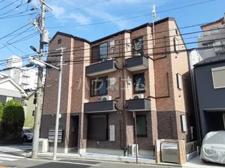 シャンテ綾瀬の画像