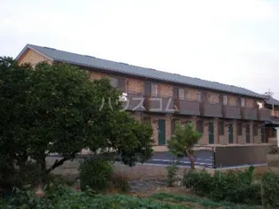 カンフォーラの画像