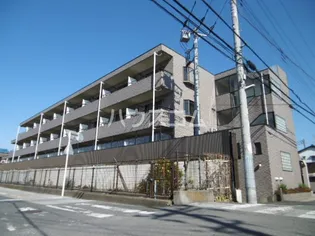 ブライトオークの画像