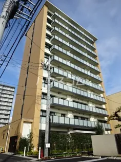 ボワ デ コガネの画像