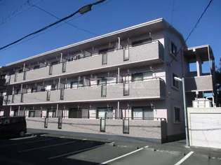 サニーハムレットCの画像