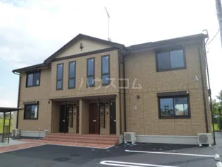 エバーグリーン Aの画像