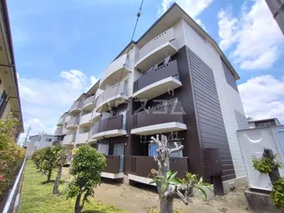 シャイン八番館の画像