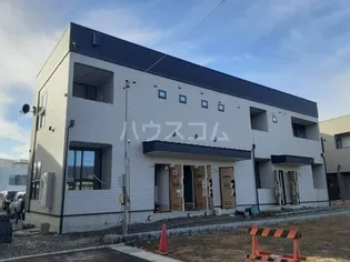 メープルの画像