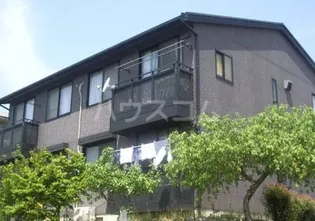 エーデルワイスの画像