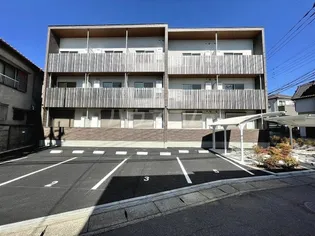 ハイムモコの画像