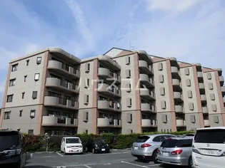 コリーヌアンソレイエの画像