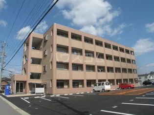 アイランドKの画像