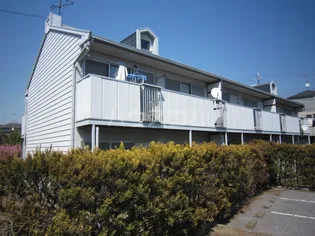 ドルフ石井Aの画像