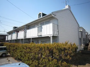 ドルフ石井Bの画像