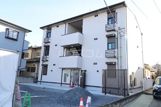 シーダーブランの画像