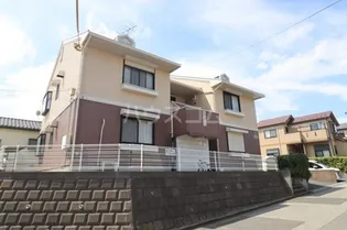 ブエナ ヴィスタの画像