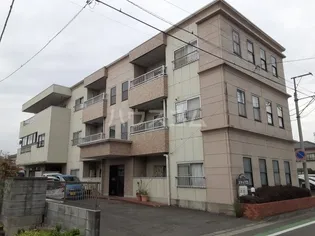 ステップ21の画像