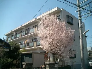 桜レジデンスの画像