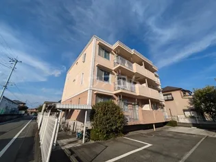 デュアルコートの画像