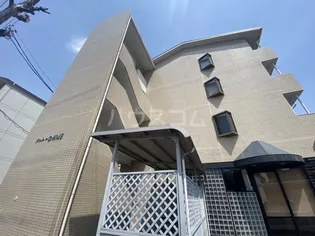 シャトー大根の画像