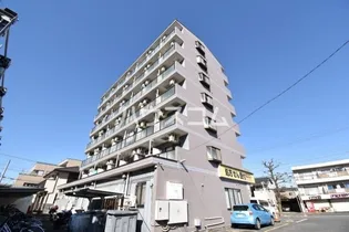 ピッコロモンドの画像