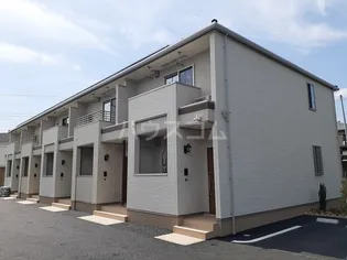 オーロラ中村南の画像