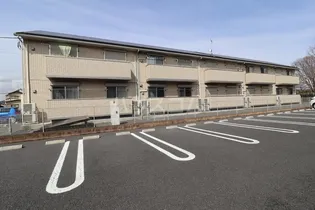 なでしこの画像