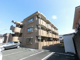 スターブルシェーヌの画像