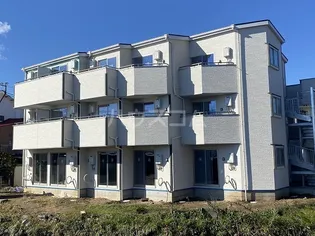 ルピナスの画像