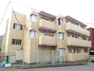 ルマ ミウラの画像