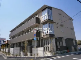 シーク カシワの画像