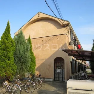 ラファエロの画像