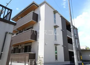 アムール元魚の画像