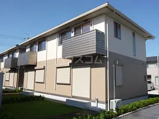 シャングリラ Bの画像