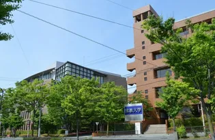 ハイツ大徳寺【1階】の外観
