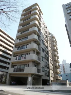 ライオンズヴィアーレ大通の画像