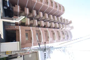 コトン大通中央の画像