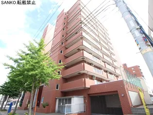 ドミ山鼻九条【613号室】の外観