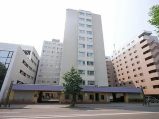 大通ハイム【7階】の外観