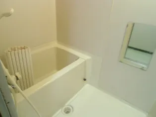 アクティブプラザ上野幌【303号室】の風呂