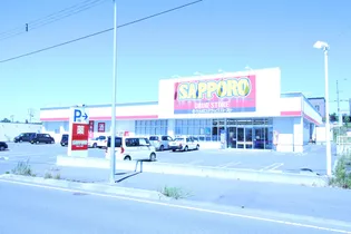 アクティブプラザ上野幌【303号室】の周辺