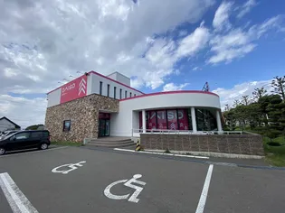 アクティブプラザ上野幌【303号室】の周辺