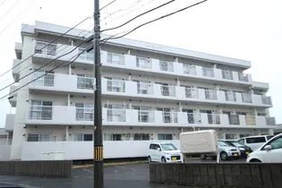 ハイツシャトー【4階】の外観