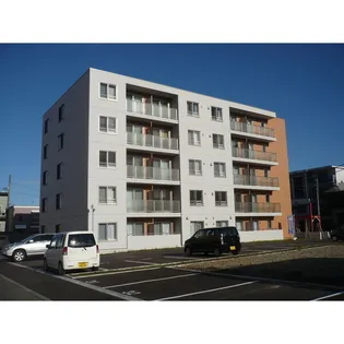 イー ウォール トキの画像