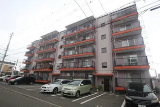 MS,MURAKAMIの画像