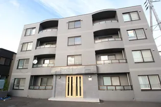 シャムロックの画像