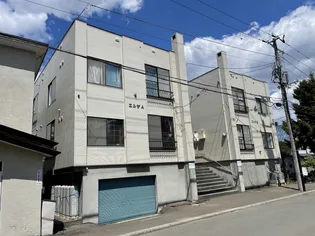 エルザAの画像