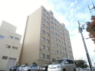 ウッドワーク新札幌【802号室】の外観