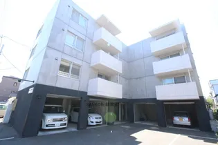 サウスナナの画像