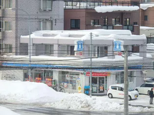 サザンシティ16【208号室】の周辺