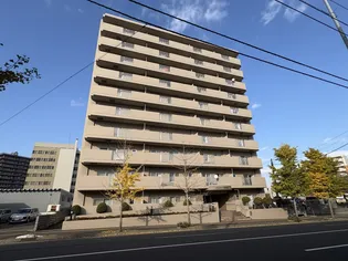 シビックコート苗穂駅前【9階】の外観